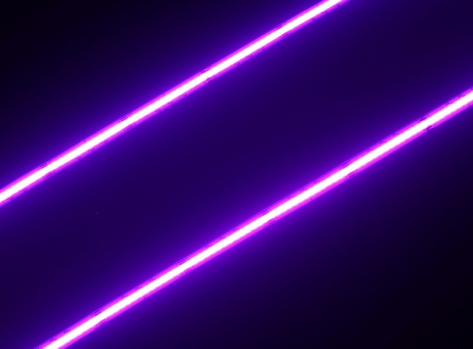 purple.jpg